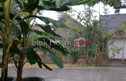 Hujan Bakal Guyur Hampir di Semua Kecamatan
